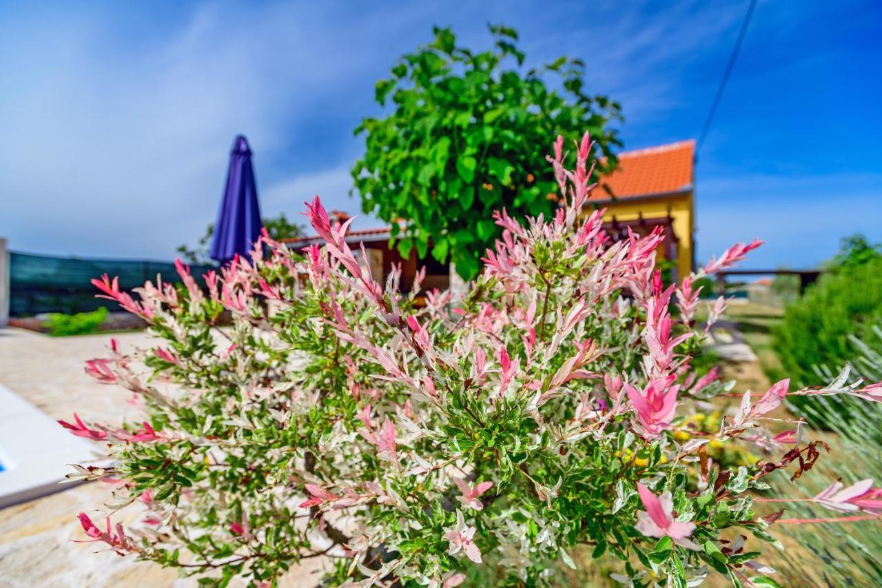 Sunny House Villa Smokovic Ngoại thất bức ảnh