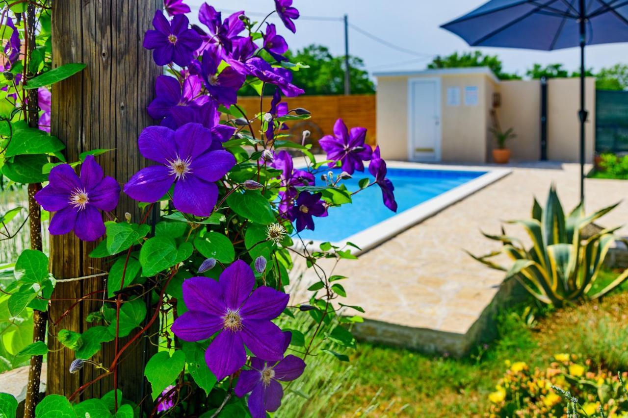 Sunny House Villa Smokovic Ngoại thất bức ảnh