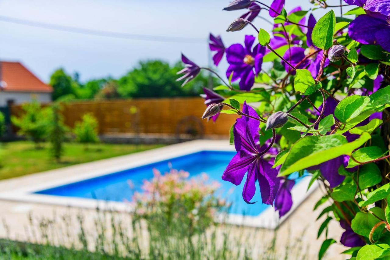 Sunny House Villa Smokovic Ngoại thất bức ảnh
