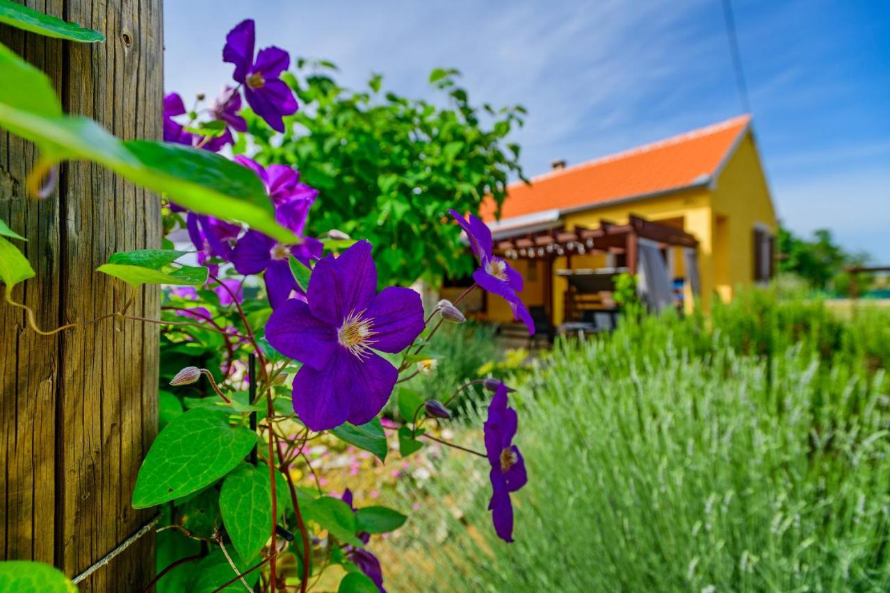 Sunny House Villa Smokovic Ngoại thất bức ảnh