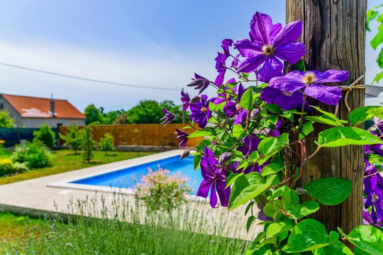 Sunny House Villa Smokovic Ngoại thất bức ảnh