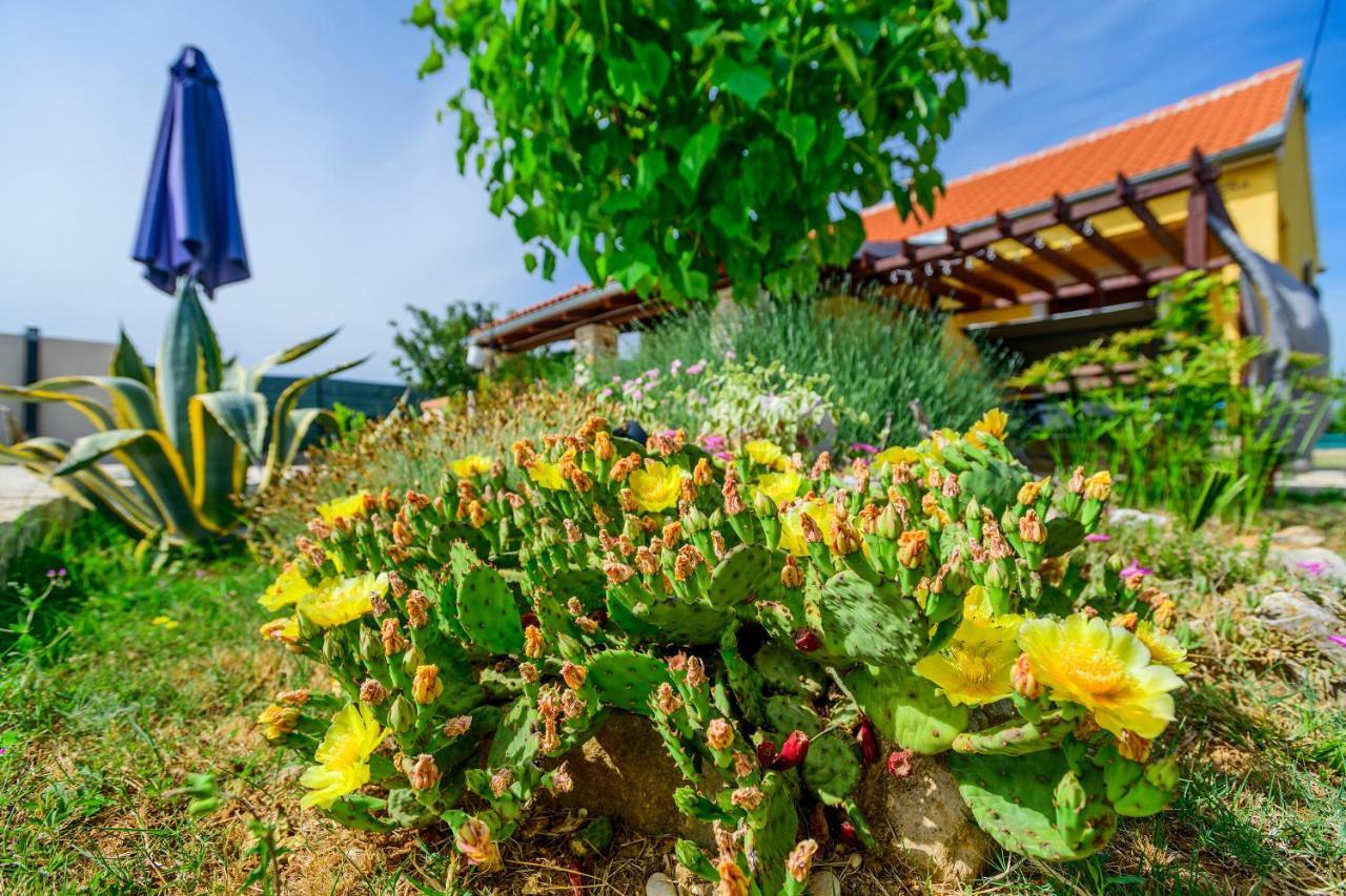 Sunny House Villa Smokovic Ngoại thất bức ảnh