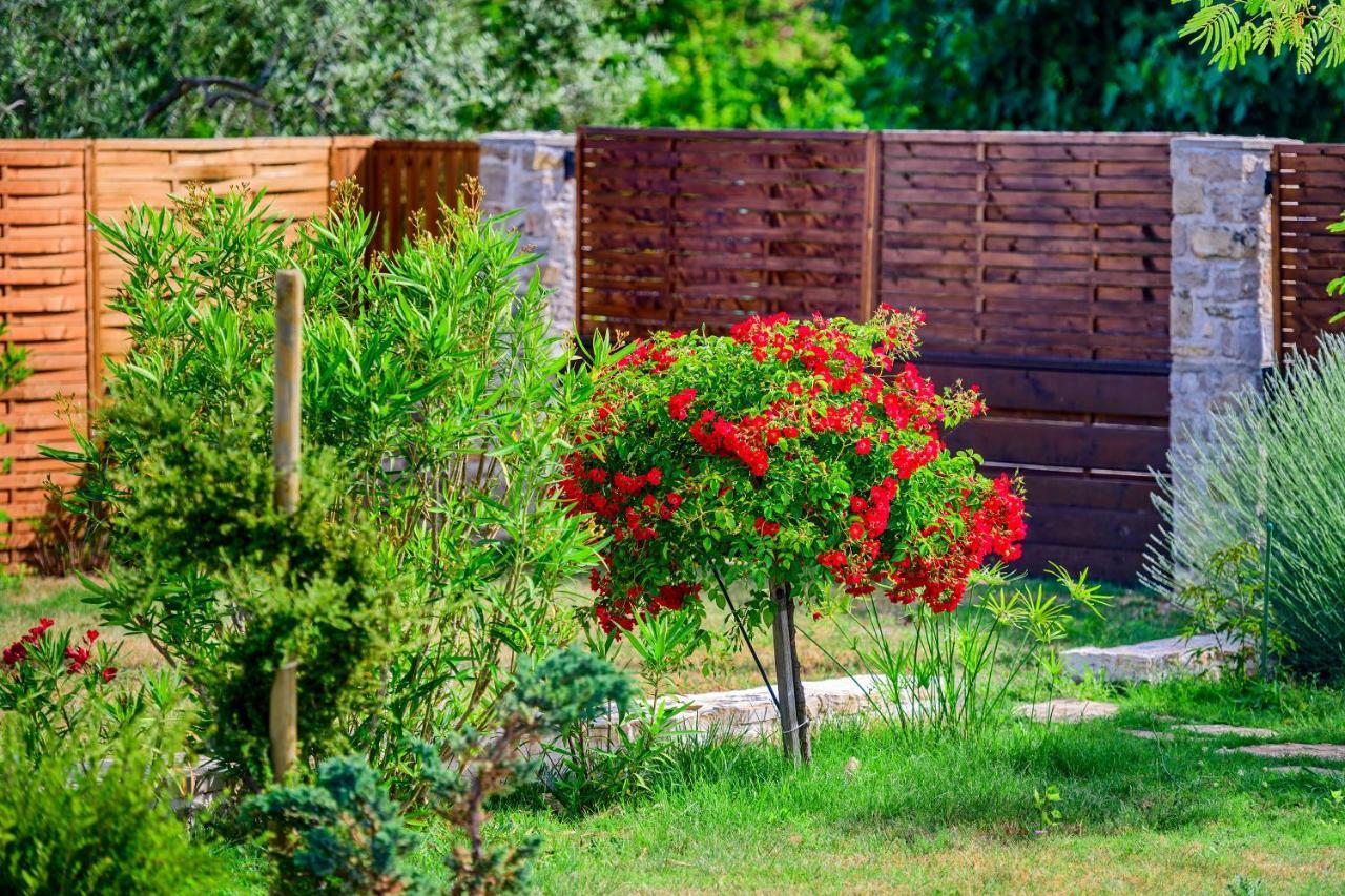 Sunny House Villa Smokovic Ngoại thất bức ảnh