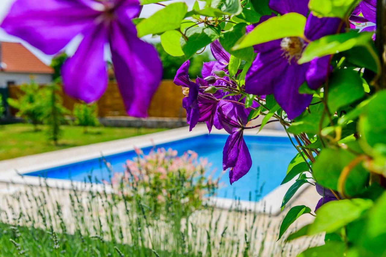 Sunny House Villa Smokovic Ngoại thất bức ảnh