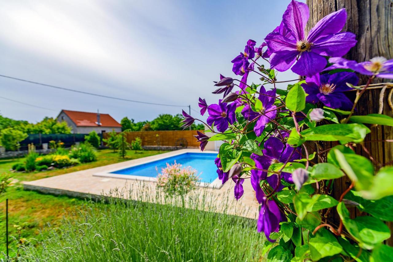Sunny House Villa Smokovic Ngoại thất bức ảnh